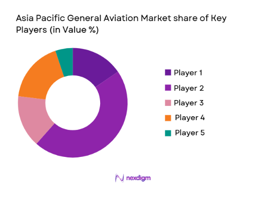 Asia Pacific General Aviation market shares of key players