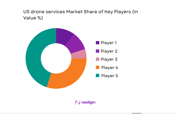 US drone services Market share