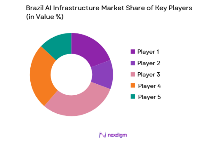 Brazil AI Infrastructure Market key players