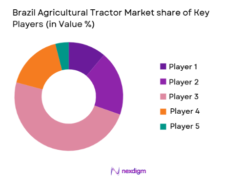 Brazil Agricultural Tractor Market share of key players