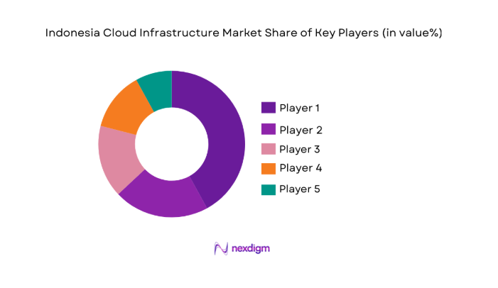Indonesia Cloud Infrastructure Market share