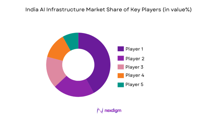 India AI Infrastructure Market share