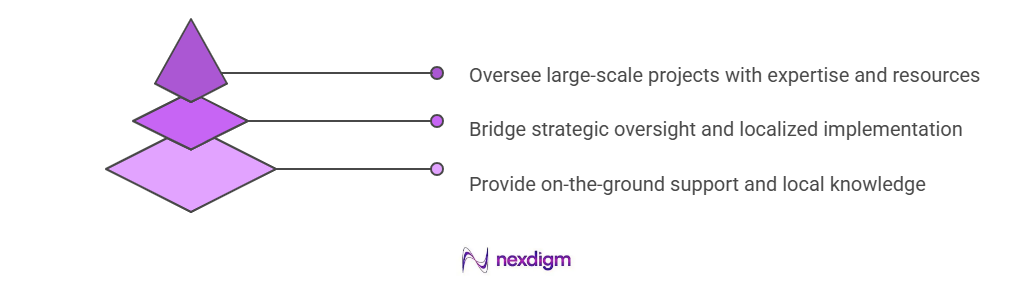 Channel Structuring Model for Renewable Energy OEMs and Developers