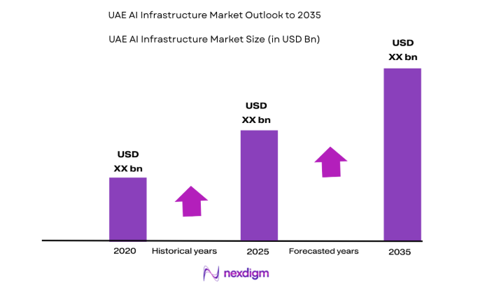 UAE AI Infrastructure Market size