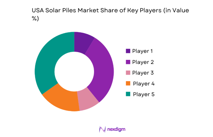 USA Solar Piles market share