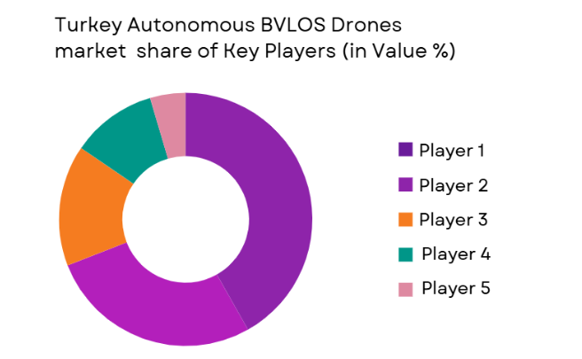 Turkey autonomous bvlos drones Market share