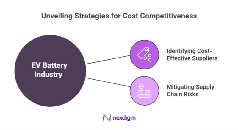 Enhancing Cost Competitiveness in Vietnam’s EV & Battery Industry