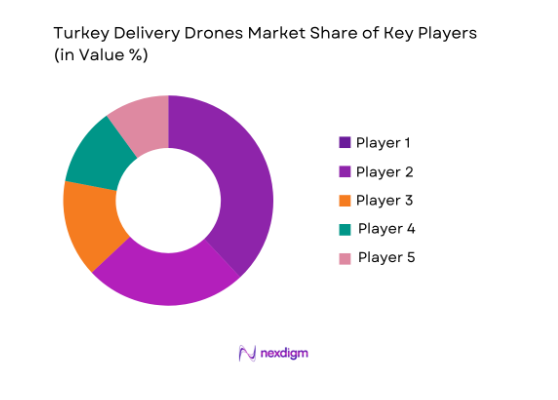 Turkey Delivery Drones Market share