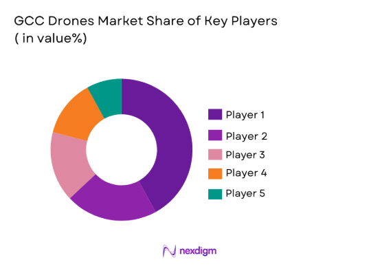 Gcc Drones market shares of key players