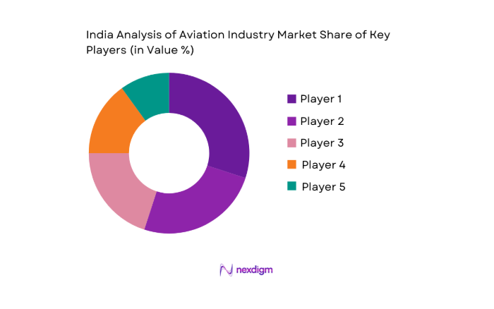 India Aviation Industry Market key players