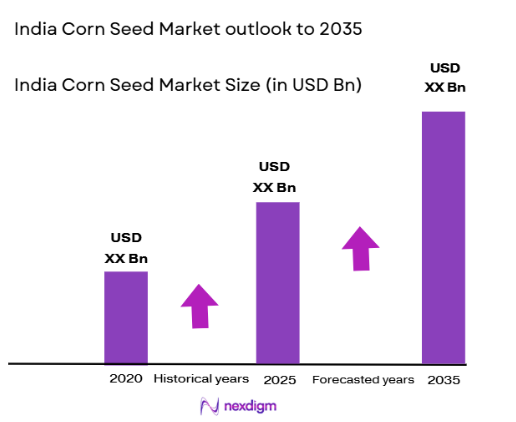 India Corn seed market size