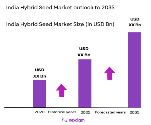 India Hybrid Seed Market size
