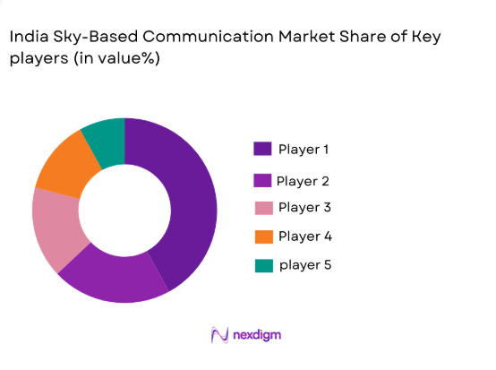 India Sky Based Communication Market shares of key players