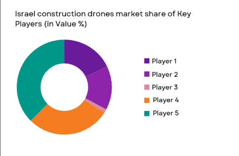 Israel Construction Drones Market share of major players