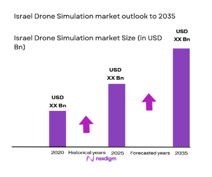 Israel Drone Simulation market size