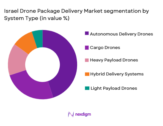 Israel drone package delivery Market segmentation by system type