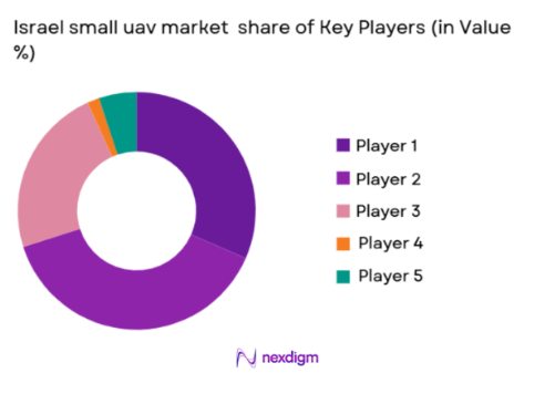 Israel small uav Market share of key players