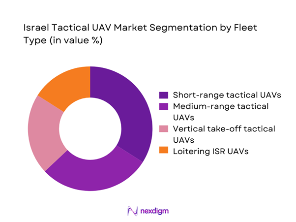 Israel tactical uav Market Segmentation by Fleet Type