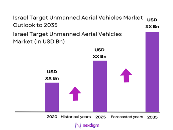 Israel target unmanned aerial vehicles Market Size