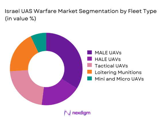 Israel uas warfare Market segmentation by fleet type