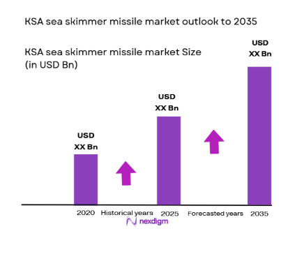 KSA Sea Skimmer Missile market size
