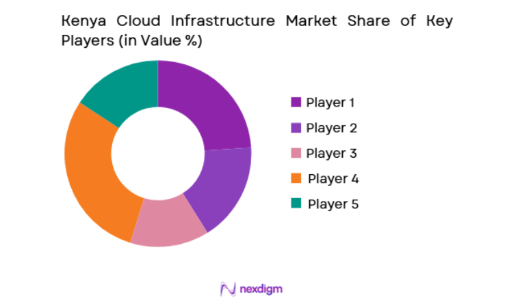 Kenya Cloud Infrastructure Market key players