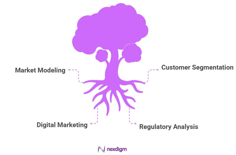 Market Entry Strategy Foundation