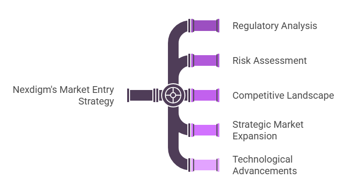Market Entry Strategy