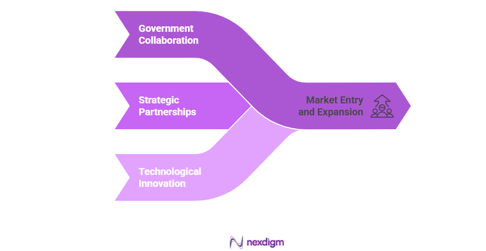 Market Entry and Expansion Strategy