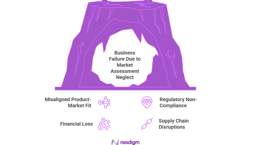 Risks of Not Conducting a Market Assessment