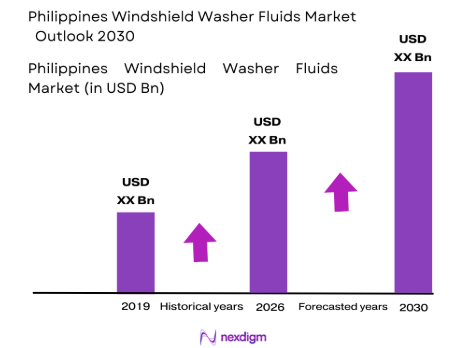 Philippines windshield washer fluids market size