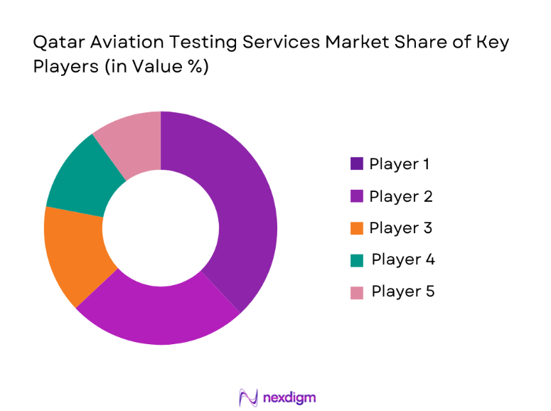 Qatar Aviation Testing Services Market share