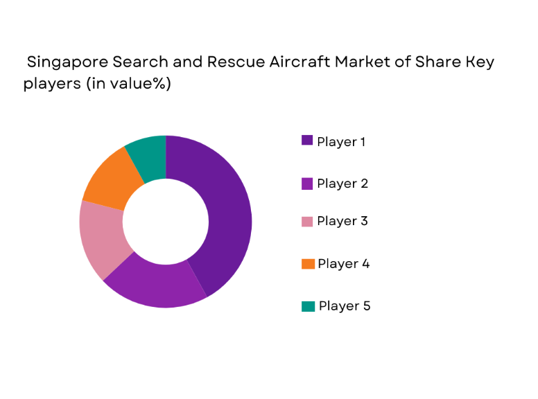 Singapore Search and Rescue Robots Market share