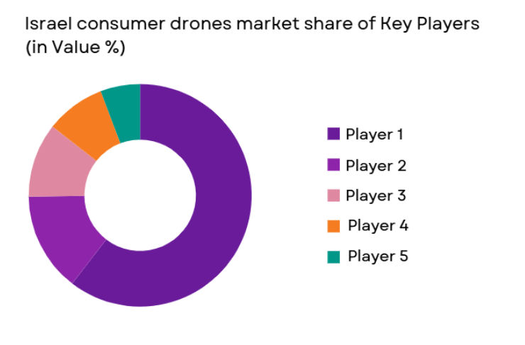 Israel Consumer Drones Market share