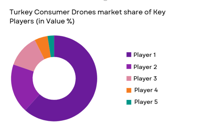 Turkey Consumer Drones Market share