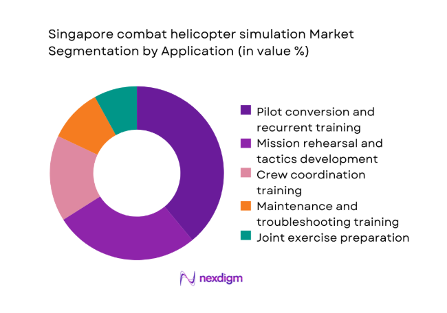 Singapore combat helicopter simulation
