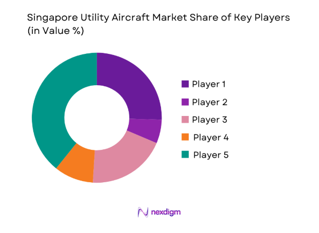 Singapore Utility Aircraft Market