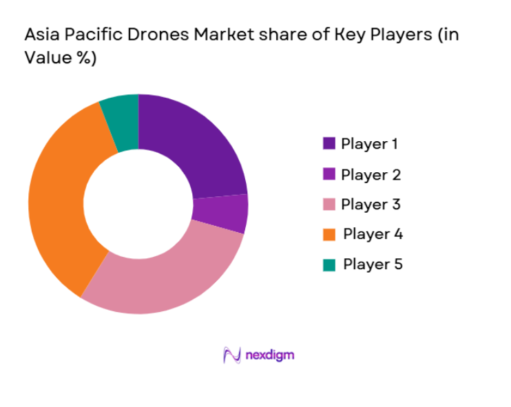 Asia Pacific Drones Market share
