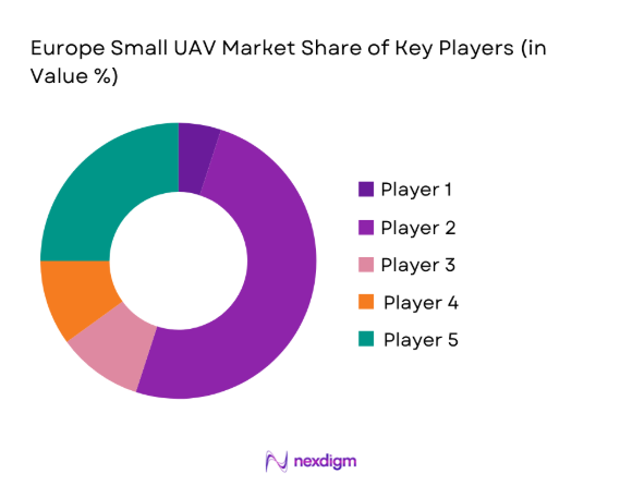 Europe Small UAV Market 