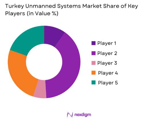 Turkey unmanned systems Market share of key players