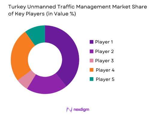 Turkey unmanned traffic management Market share of key players