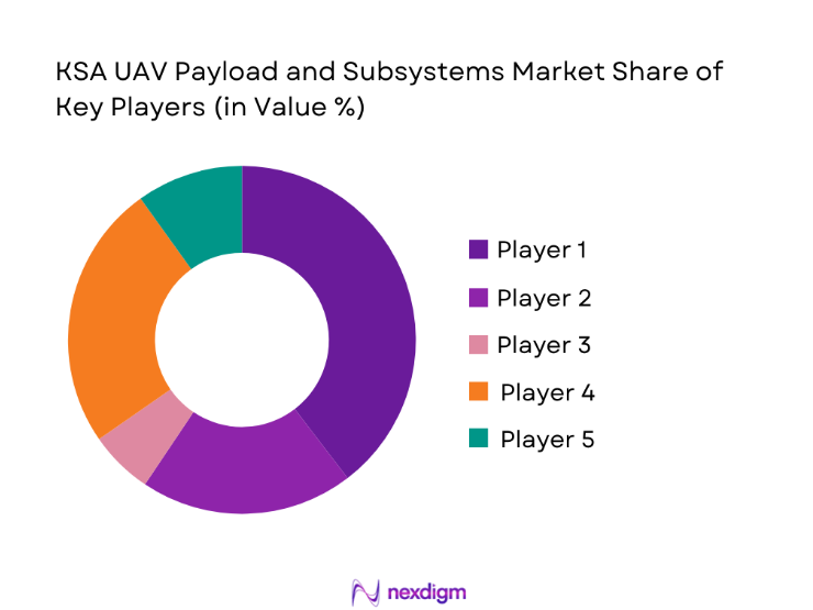 KSA UAV Payload and Subsystems Market share