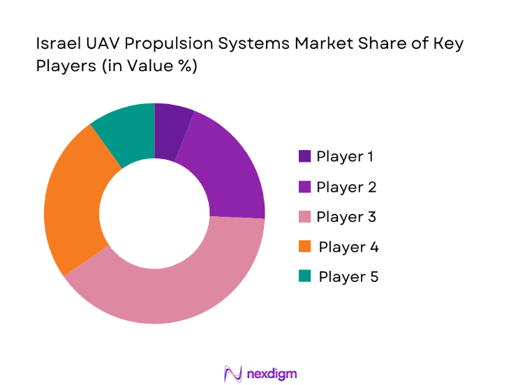 Israel UAV Propulsion Systems Market share