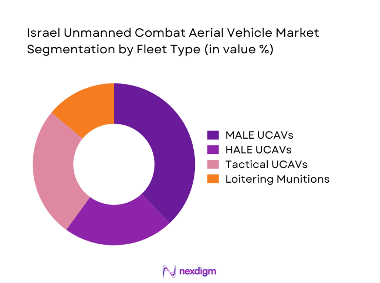 Israel Unmanned Combat Aerial Vehicle Market segmentation by fleet type