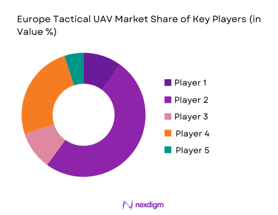 Europe Tactical UAV Market 