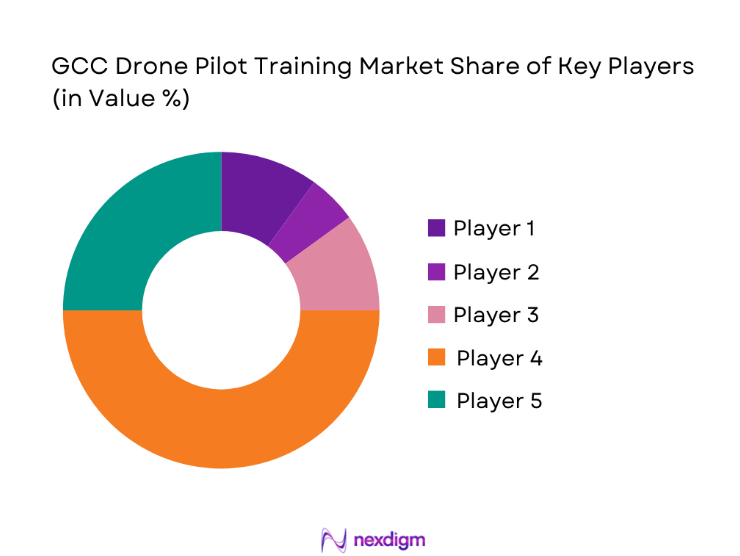 GCC Drone Pilot Training Market share