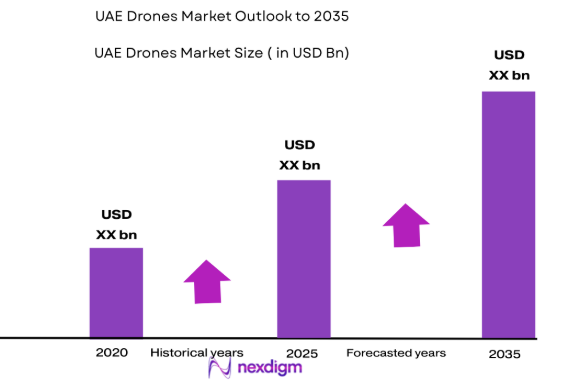 UAE drones market size