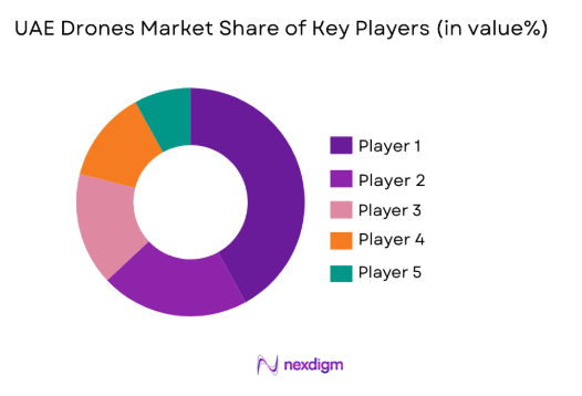 UAE drones market share of key players