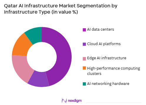 Qatar AI infrastructure market by infrastructure type
