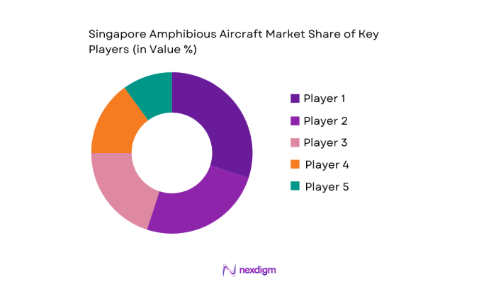 Singapore Amphibious Aircraft Market key players